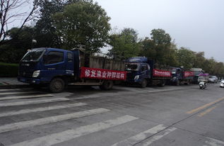 漁業(yè)增殖促生態(tài)，畜牧水產(chǎn)譜新篇——江西修水縣開展資源放流活動助力產(chǎn)業(yè)發(fā)展